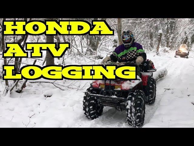 ️️ Snowy ATV Logging  - Nov. 4, 2017