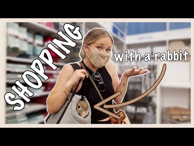 DAY IN THE LIFE (Bunny Routine and Shopping with Cinnabun)