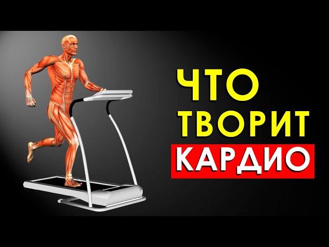 Что Произойдет с Телом, Если Делать Кардио Тренировки Каждый День