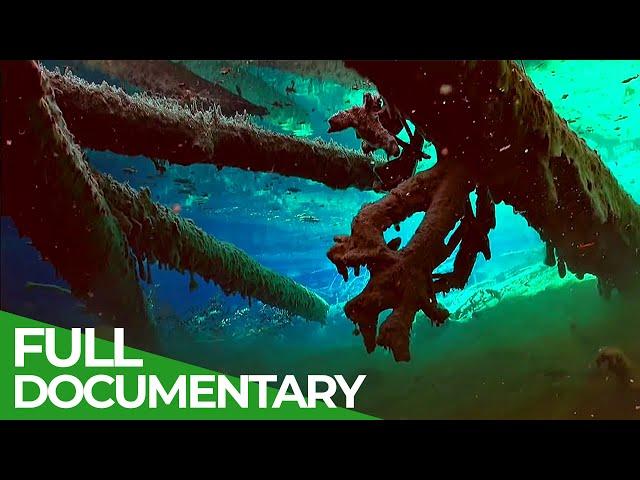 The Fascinating World of Deep Alpine Mountain Lakes | Free Documentary Nature