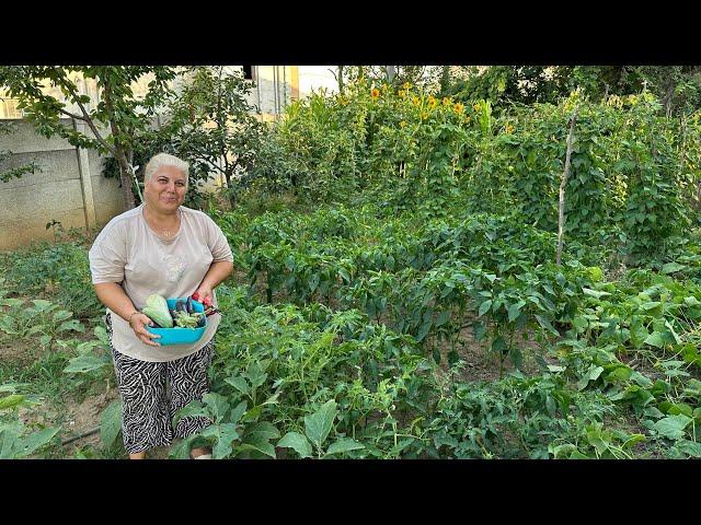 Köyümüzde Bir Gün| Bahçemizin İlk Mahsullerini Topladık! 