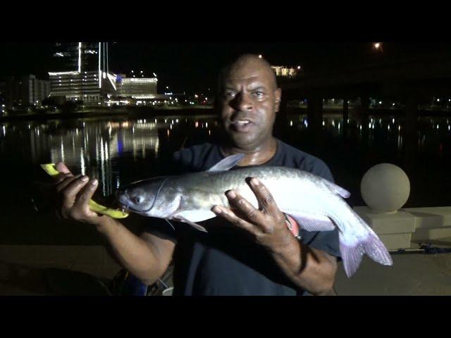 NIGHT FISHING at TEMPE TOWN LAKE