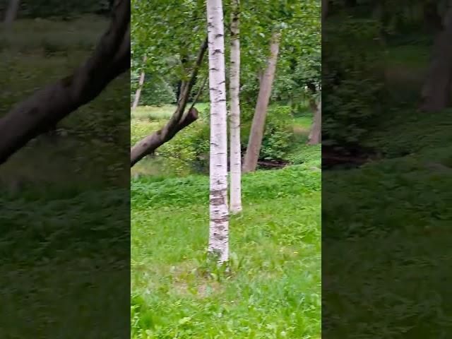 21 августа 2023 г.