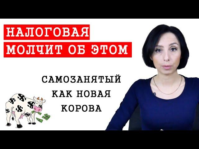 Самозанятый в чем опасность? Кто может стать? Какие плюсы и минусы!