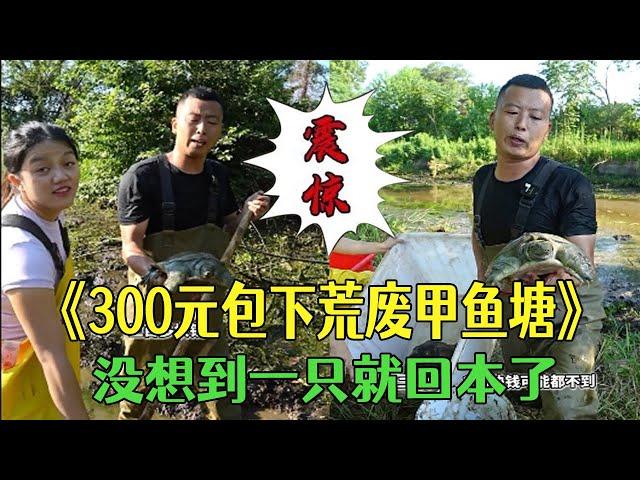 300包下壹個荒廢甲魚塘，沒想到壹只就回本了#三農 #戶外 #新農人計劃#我的鄉村生活 #小飛哥#包塘