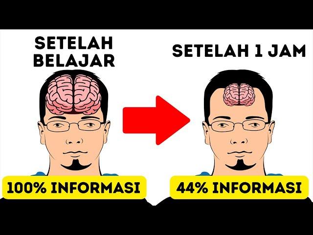 11 Rahasia untuk Menghafal Lebih Cepat daripada Orang Lain