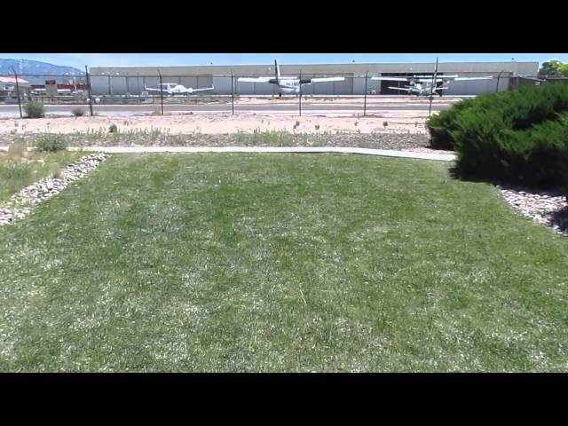 Locust invasion at NWS-Albuquerque office June 2nd 2014