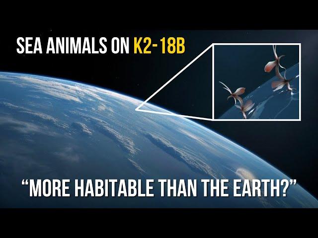 Have Scientists Discovered the First Signs of Life on K2-18B with the Help of the JWST?