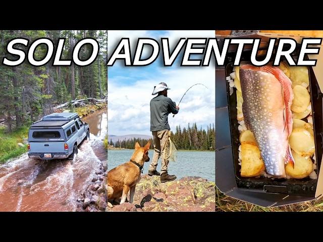 Solo Overlanding Adventure Catch & Cast Iron Cook Trout Wilderness Firebox Stove "Will it Pie?"