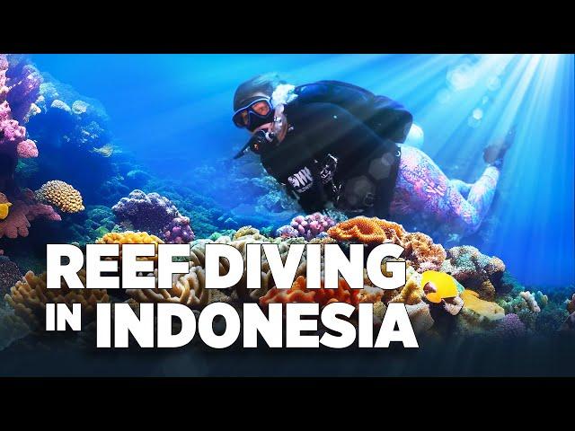 Nikki Goes Diving In Raja Ampat-Indonesia