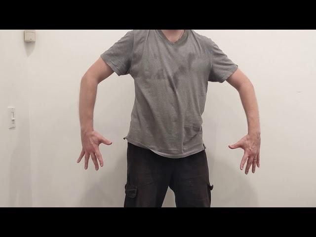 Xinyi Liuhe Quan - tips for "chicken step" 踩鸡步 esp. hands