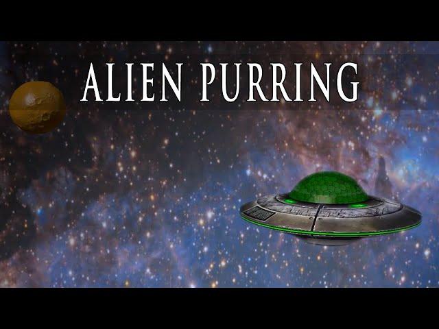 PORTEGO - Alien Purring