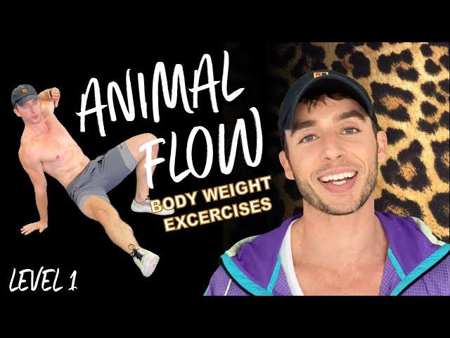 ANIMAL FLOW! Learn these FUN and EFFECTIVE bodyweight exercises. Only for Cool Cats and Kittens!