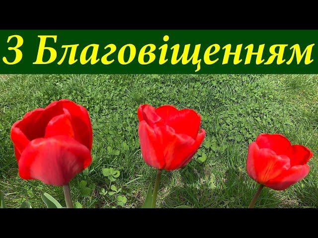 Привітання з Благовіщенням Богородиці! Свято Благовіщення Пресвятої Богородиці 25 березня 2024 року