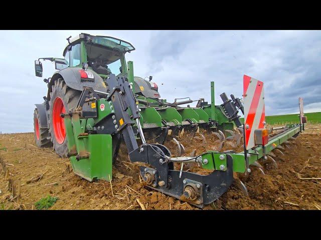 Fendt 826 Vario Grip mit BIDELL - Eberhardt Tiefengrubber beim Stoppelacker bearbeiten1