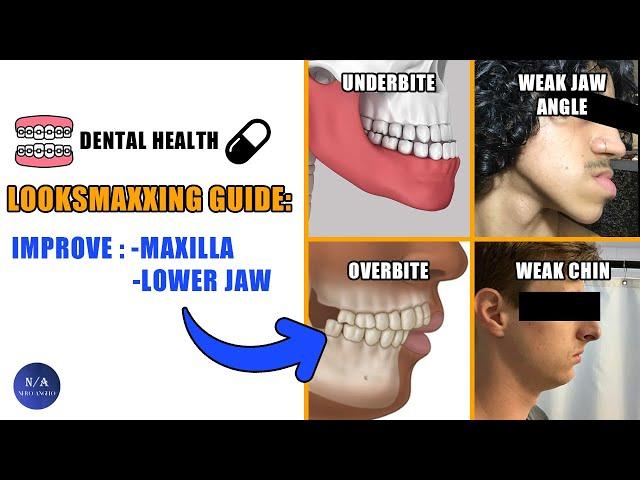 Looksmaxx Your Maxilla & Jaw - Why Your Orthodontics Matter (blackpill)