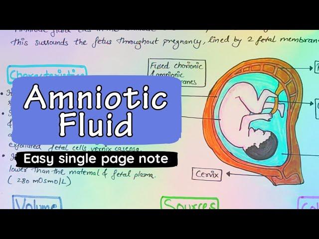 Amniotic fluid - Easy notes and explanation in Hindi #gynaecology #amnioticfluid #tushnaut