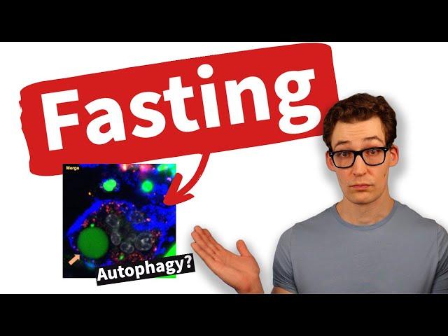 Fasting & Inflammation: A Story of Autophagy? [Science Explained]