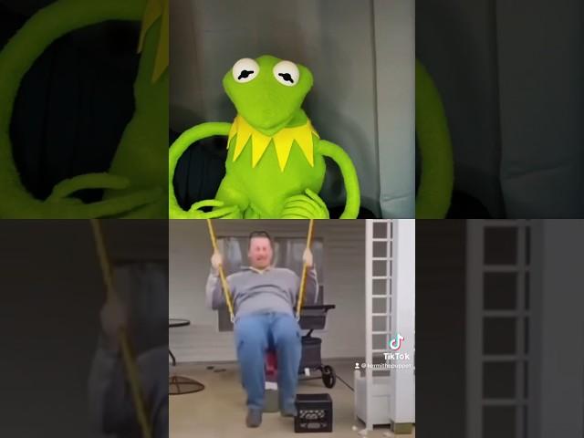 Kermit The Frog Holds Swing For Guy TIKTOK