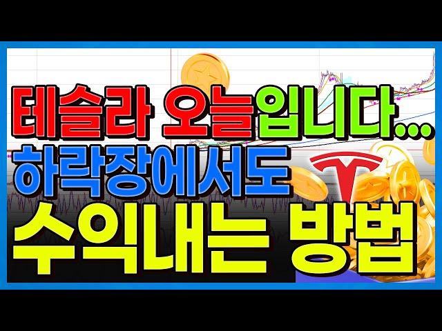 테슬라 오늘입니다. 하락장에서도 수익내는 방법은 다 있답니다