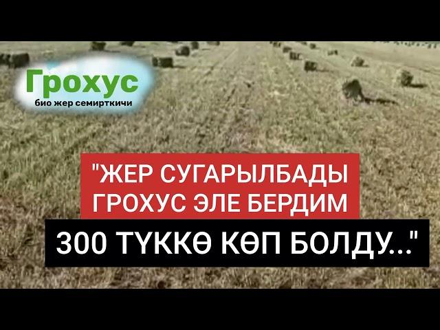 ГРОХУС ОРГАНИКАЛЫК ЖЕР СЕМИРТКИЧИНИН ЖЫЙЫНТЫКТАРЫ