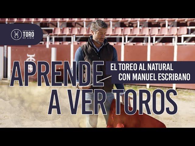 El toreo al natural, con Manuel Escribano | APRENDE A VER TOROS