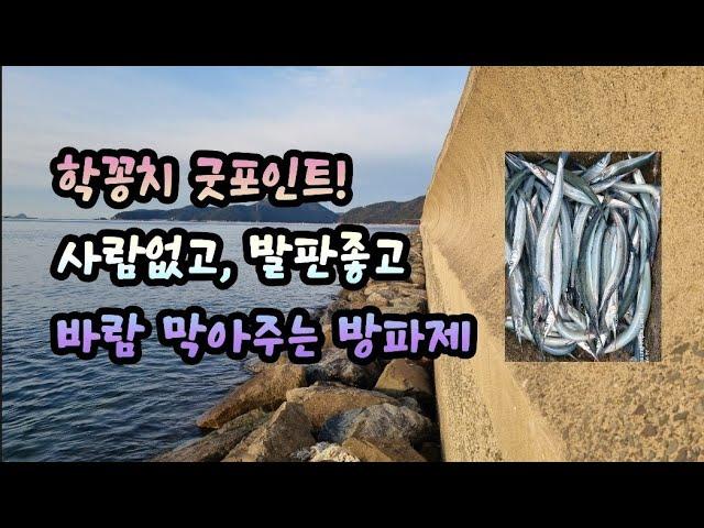 학꽁치 굿포인트! 사람없고, 발판좋고, 바람 막아주는 석축방파제