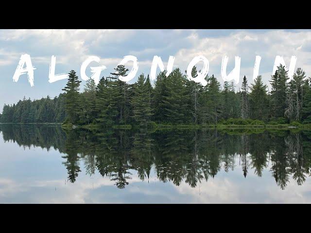 سی کیلومتر هایکینگ و کمپینگ در آلگن کویین کانادا| Hiking and Camping in Algonquin Provincial Park