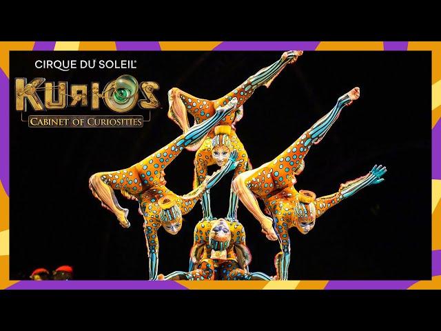 KURIOS - Cabinet of Curiosities Official Trailer | Cirque du Soleil