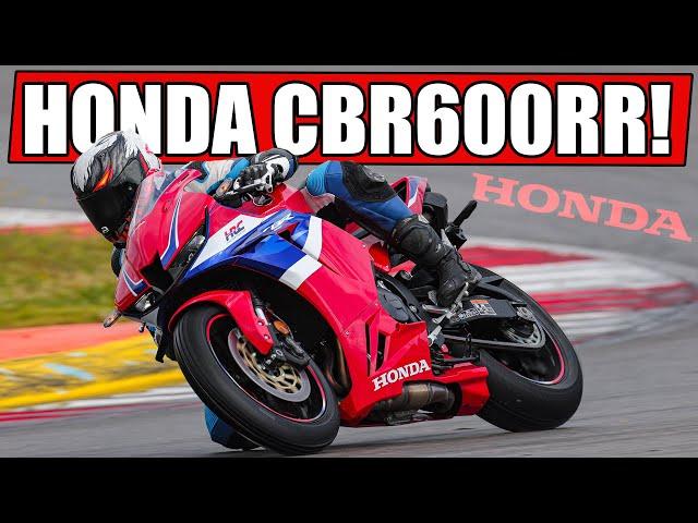 HONDA CBR600RR 2024 MOTORRAD TEST REGENBERICHT