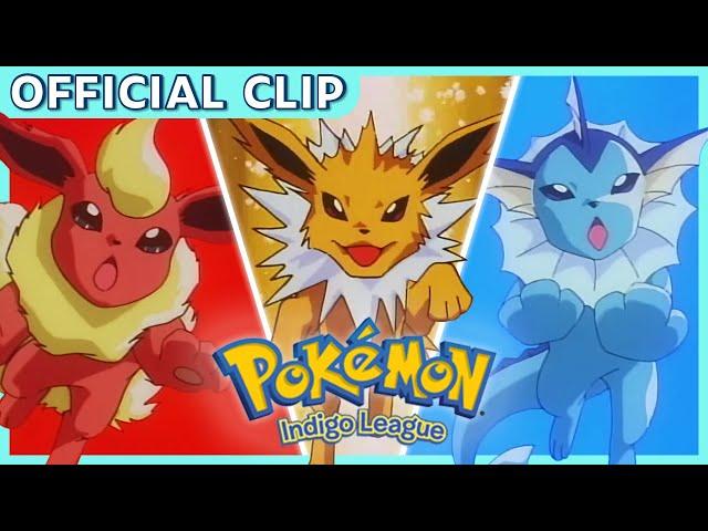 An Evolution Party! | Pokémon: Indigo League | Official Clip