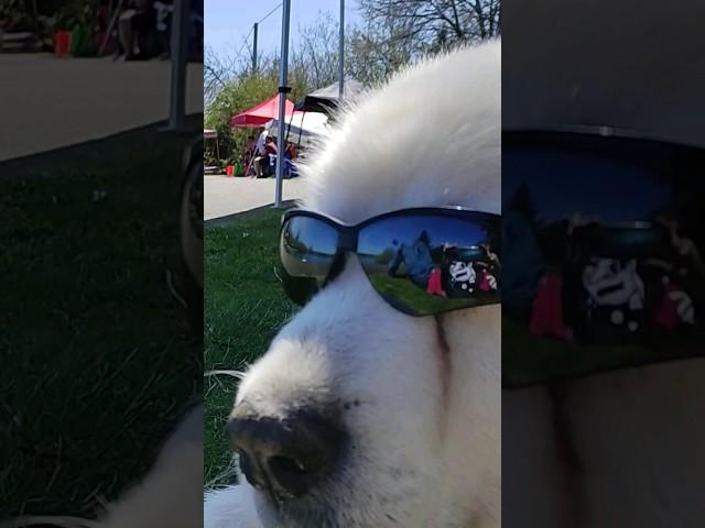 You Can Use MY LAKE just this once, since you gave me Cool Glasses.