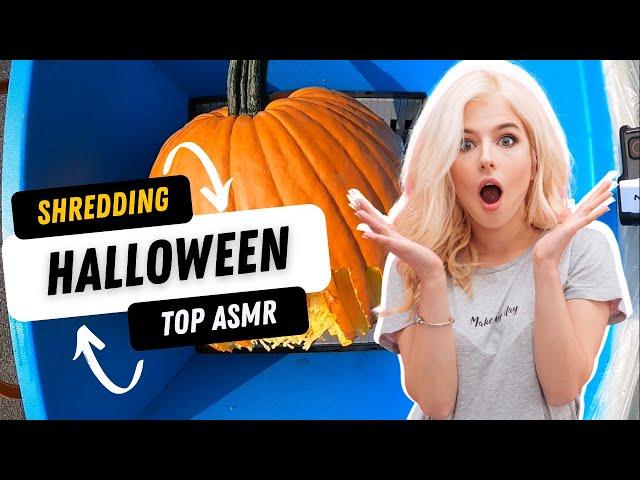 Top Shredding ASMR - Shredding All Things Halloween With Industrial Shredder