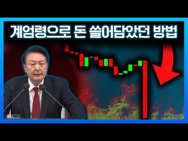 폭락장에서 돈을 쓸어담은 개미들..? (#계엄령 #윤석열 #비트코인 알트코인 리플 솔라나 역프리미엄, 김프)