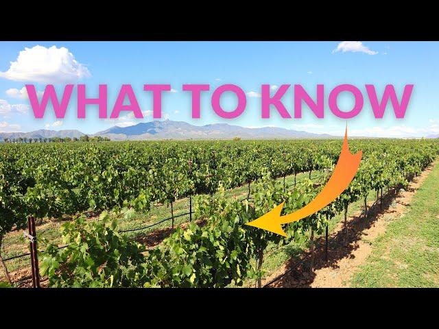 Where is Arizona WINE Country?