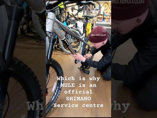 Looking after your bikes like they’re our own  @RideShimano #shimanoservicecenter
