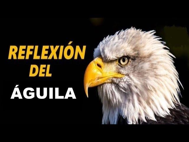 APRENDIENDO DEL ÁGUILA