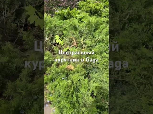 Встреча подруг #подпишись #хобби