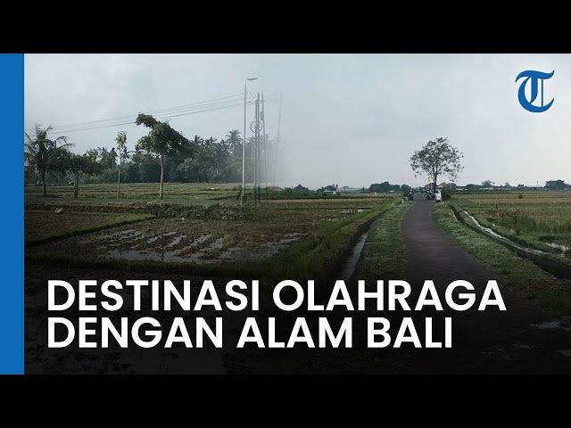 Ekowisata Joging Track Subak Aban: Destinasi Olahraga dengan Pesona Alam Bali