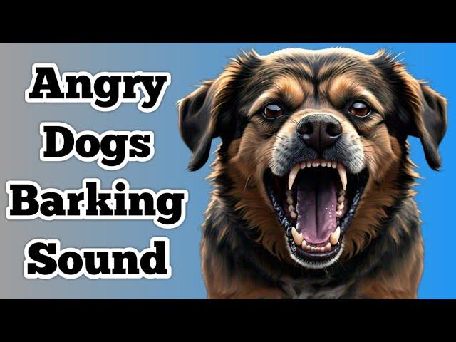 Dog Sound || Dog Barking || Dog Voice || Angry Dogs Barking Sound || Kutte Ki Awaaz