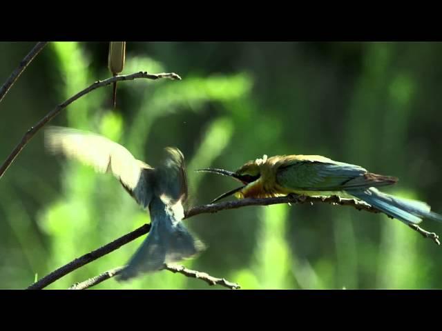 金門國家公園夏日追風30秒│金門國家公園│Kinmen National Park