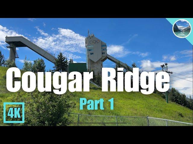 Calgary Neighbourhood Walk  Cougar Ridge Part 1