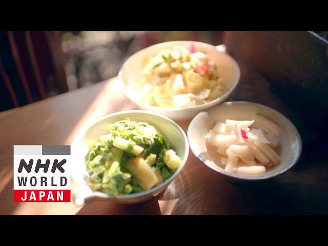 FANTASTIC FERMENTATION!: Producing Pickles - Dig More Japan