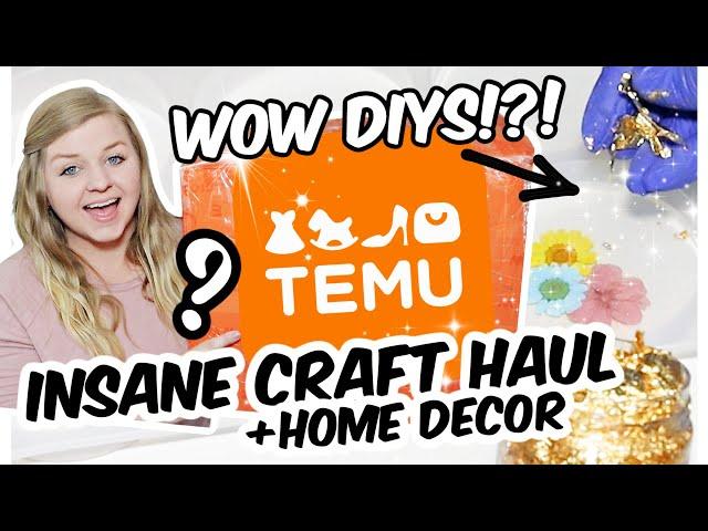 You Wont Believe What I Made Using TEMU Craft Supplies!?! | Is it Worth it? | Krafts by Katelyn