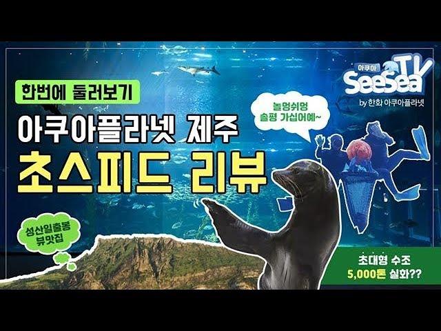 제주 힐링여행의 꽃! 아쿠아플라넷제주초스피드 리뷰핵넓음!!