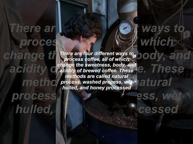 What is coffee processing methods?