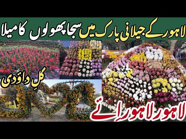 Jalani Park Lahore Festival 2024 | Gul e Daudi Festival In Lahore | Race Course Park Lahore MrJDButt