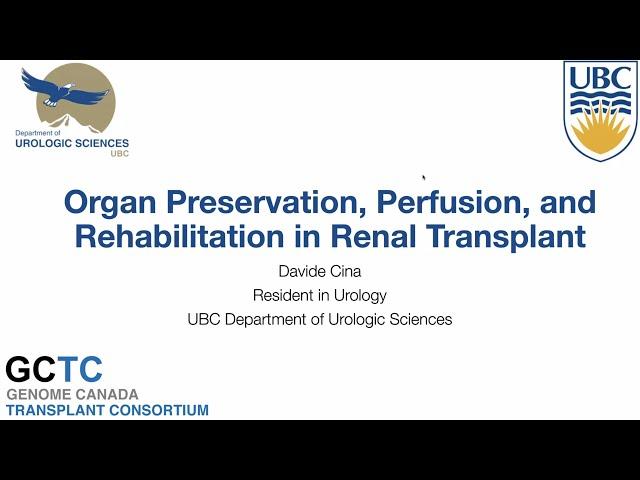 Organ Preservation, Perfusion and Rehabilitation in Renal Transplant