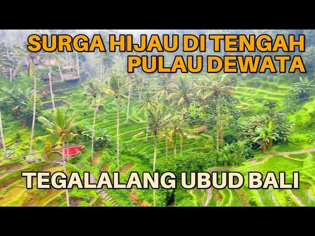 KEINDAHAN TERASERING PESAWAHAN YANG MENDUNIA DI BALI