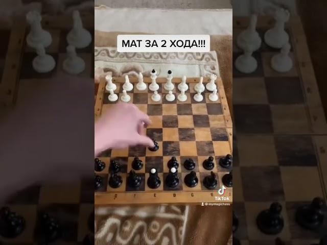 МАТ В 2 ХОДА! #Шахматы #шахматы #chess